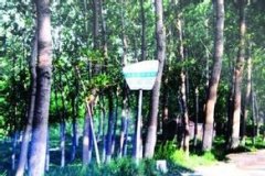  �Ĺ���վ�_����������w�Ҹ�׃�w 